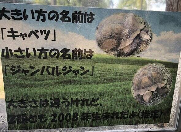 マヨ ネー ズー と三つ子を命名 ネーミングセンスが独特すぎる動物園が話題に 19年11月13日 エキサイトニュース