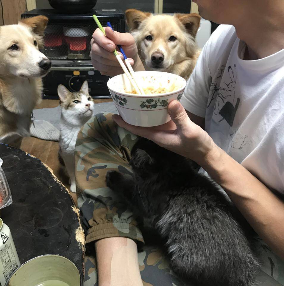 うどんを食べていたらアツい視線が 動物たちに囲まれた食事風景が話題 19年11月24日 エキサイトニュース