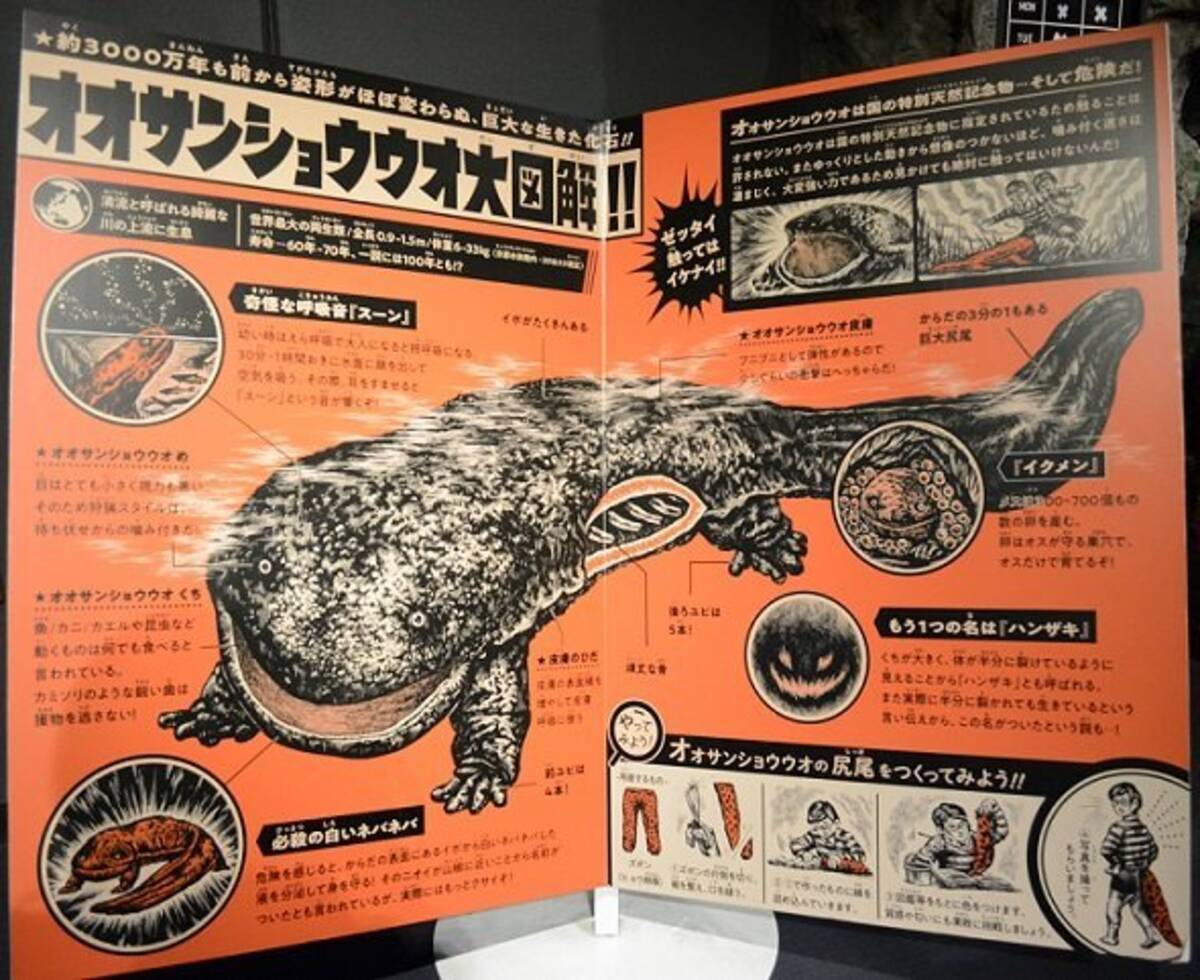 完全に 怪獣図鑑 のノリ 京都水族館のオオサンショウウオ展示がレトロで最高だった 19年11月30日 エキサイトニュース