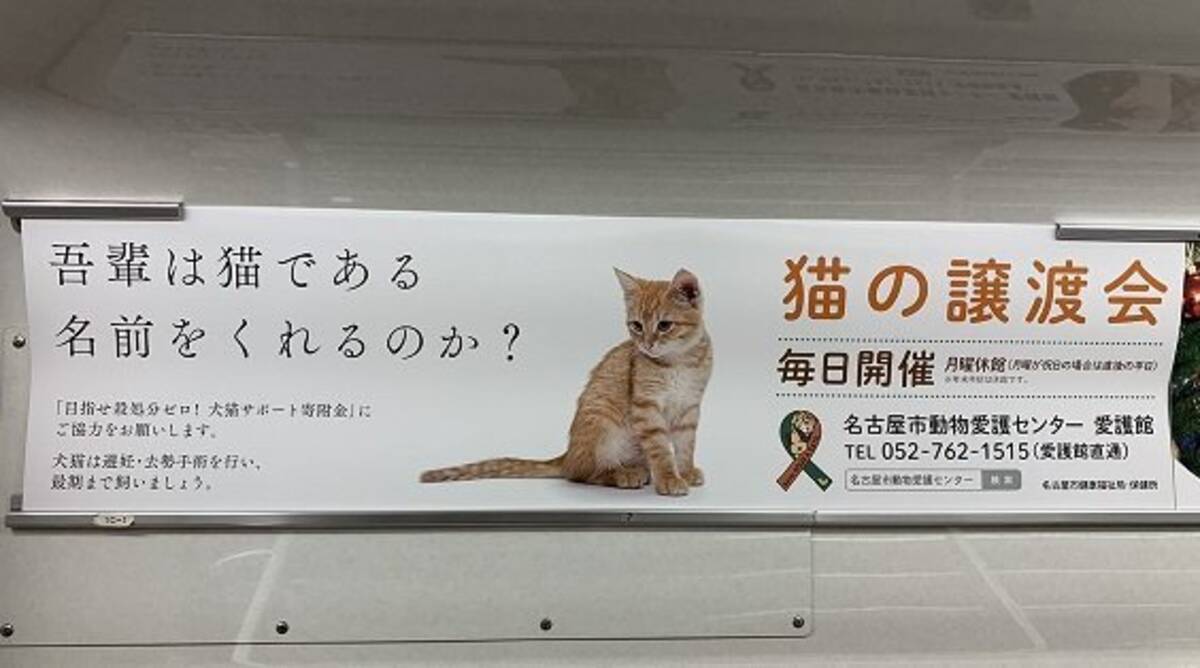 吾輩は猫である 名前をくれるのか 名古屋市動物愛護センターの広告が泣ける 19年12月12日 エキサイトニュース