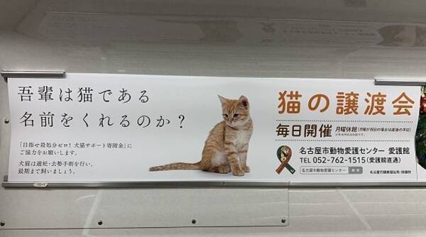 吾輩は猫である 名前をくれるのか 名古屋市動物愛護センターの広告が泣ける 19年12月12日 エキサイトニュース