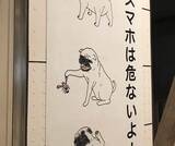 犬もザリガニも全く関係ない 福岡の歩きスマホ啓発ポスターが謎でしかない 19年12月16日 エキサイトニュース