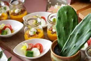 品種も続々 女性もハマる サボテン の魅力とは 16年9月17日 エキサイトニュース