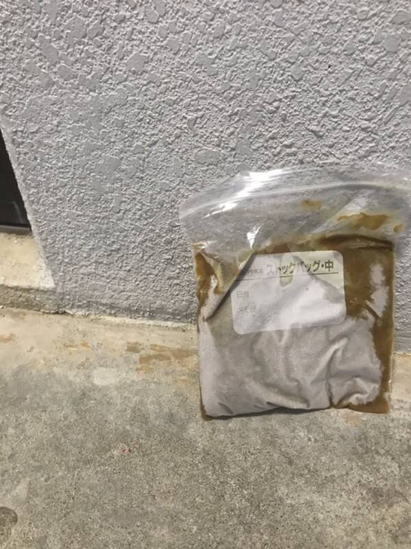 冷凍庫のカレー外に出しといて 小6の弟に頼んだら まさかの行動に爆笑 19年12月30日 エキサイトニュース