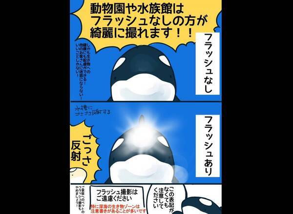 水族館では フラッシュなし が綺麗 スマホ撮影のコツを描いたイラストに反響 年1月24日 エキサイトニュース