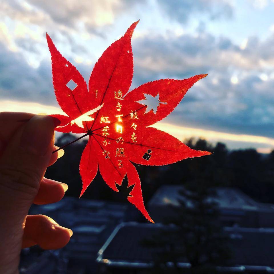 秋の句を紅葉に刻んだ切り絵アート 高校生の超絶技巧に称賛 なんと雅 これはすごい 年2月2日 エキサイトニュース 秋の句を紅葉に刻んだ切り絵アート 高校生の超絶技巧に称賛 なんと雅 これはすごい 年2月2日 エキサイトニュース