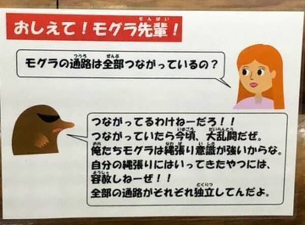 死ぬわけねーだろ 毒舌回答で人気キャラに 多摩動物公園 モグラ先輩 考案者を直撃 年2月4日 エキサイトニュース