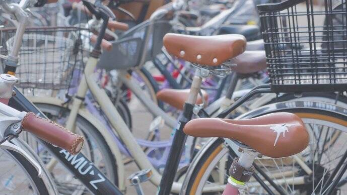 サドルを汚して盗難防止 自転車に貼る 鳥のうんちシール が画期的だった 年3月21日 エキサイトニュース