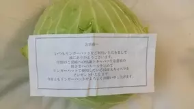 サクラクレパスが無料で配布している クーピーペンシル壁紙 背景画像 がめちゃくちゃ可愛い 年4月22日 エキサイトニュース