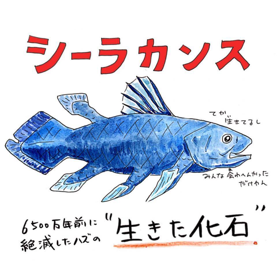 マズすぎて誰も食べなかった シーラカンスが 絶滅しなかった理由 解説したイラストが話題 年5月14日 エキサイトニュース