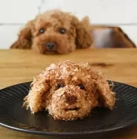 絵文字のモノマネをするトイプードル トイプードルの姿をした人間としか思えない なんでそんなに可愛いんだよ 21年2月16日 エキサイトニュース