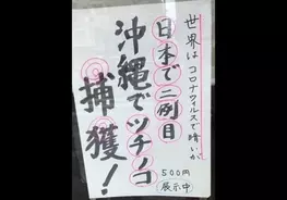 Scrapによる 謎解きゲーム のサブスクが登場 謎診断 で好みにあった商品が自宅ポストに届く 年6月9日 エキサイトニュース