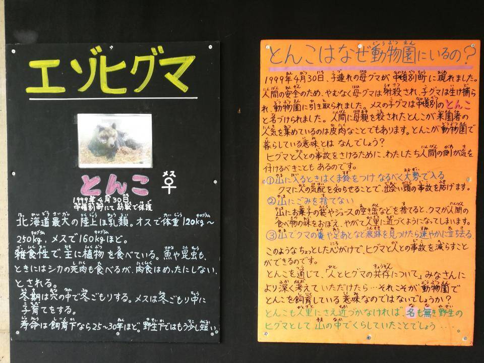 このクマは 人間に母親を殺されました 旭山動物園の 重い 解説文に反響 なぜ 飼育員の思いを聞いた 年7月11日 エキサイトニュース