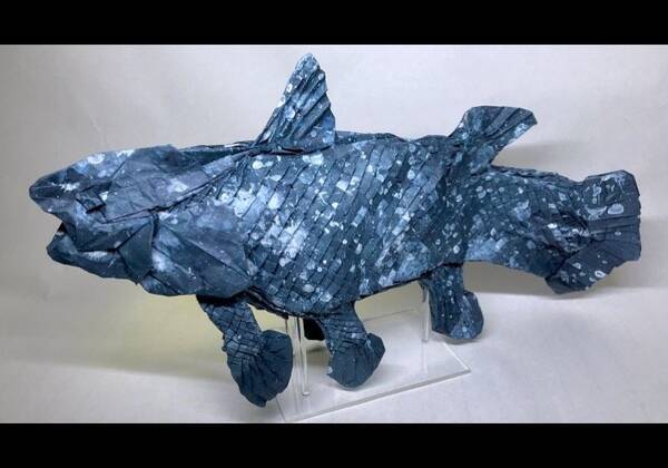 俺の知ってる折り紙と違う 1枚の紙から生まれたシーラカンスがもはや剥製レベルのクオリティ 年7月21日 エキサイトニュース 俺の知ってる折り紙と違う 1枚の紙から生まれたシーラカンスがもはや剥製レベルのクオリティ 年7月21日 エキサイトニュース