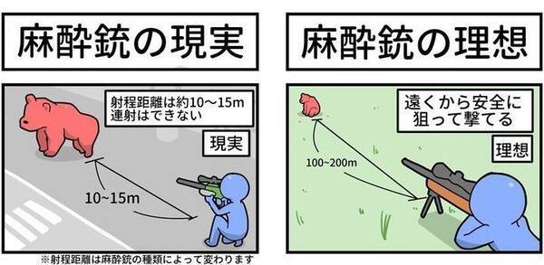 クマ駆除に なぜ麻酔銃を使わない と言う人へ その理由を説明した漫画が 勉強になる と話題に 年10月23日 エキサイトニュース