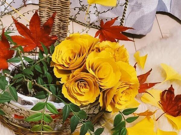 黄色いバラ いいえ イチョウです 本物の花束にしか見えない 落ち葉アート に絶賛の声 年11月13日 エキサイトニュース