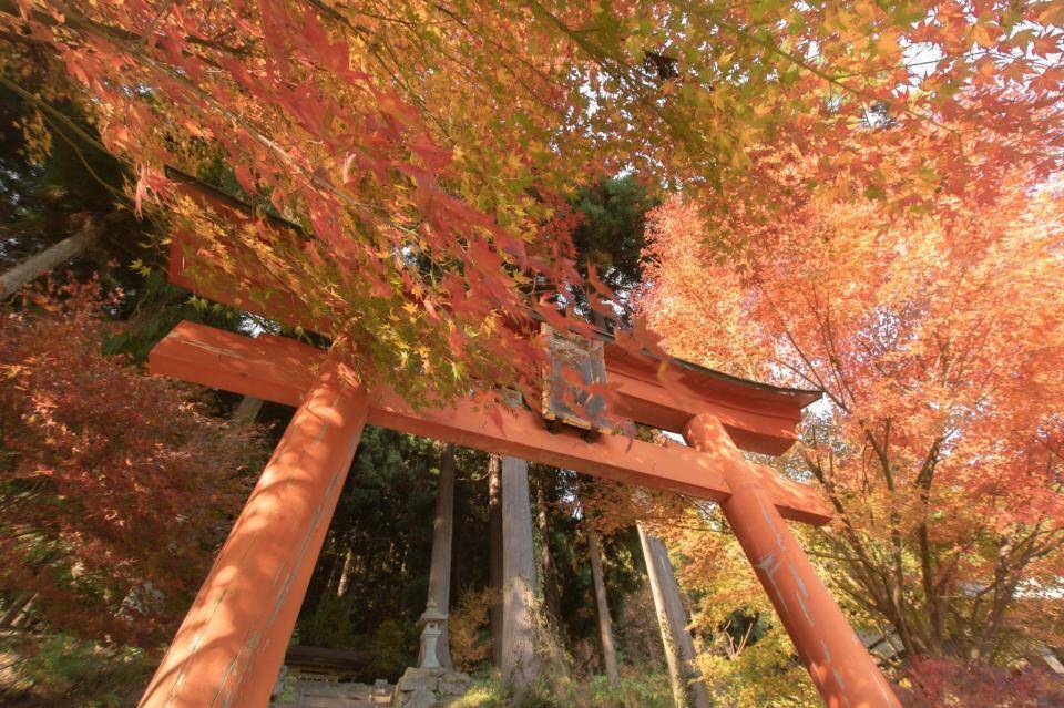 ジブリのような秋に出会った 物語の世界のような紅葉写真に絶賛 すごく綺麗 癒される 年11月日 エキサイトニュース