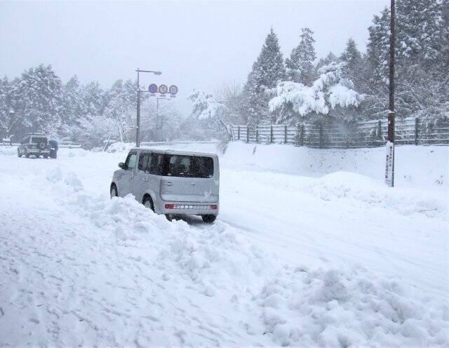 ちょっと積もっただけで 東京で雪 のニュースに対する 新潟人の忘れられない反応 に引っ越して驚いたこと 21年1月4日 エキサイトニュース