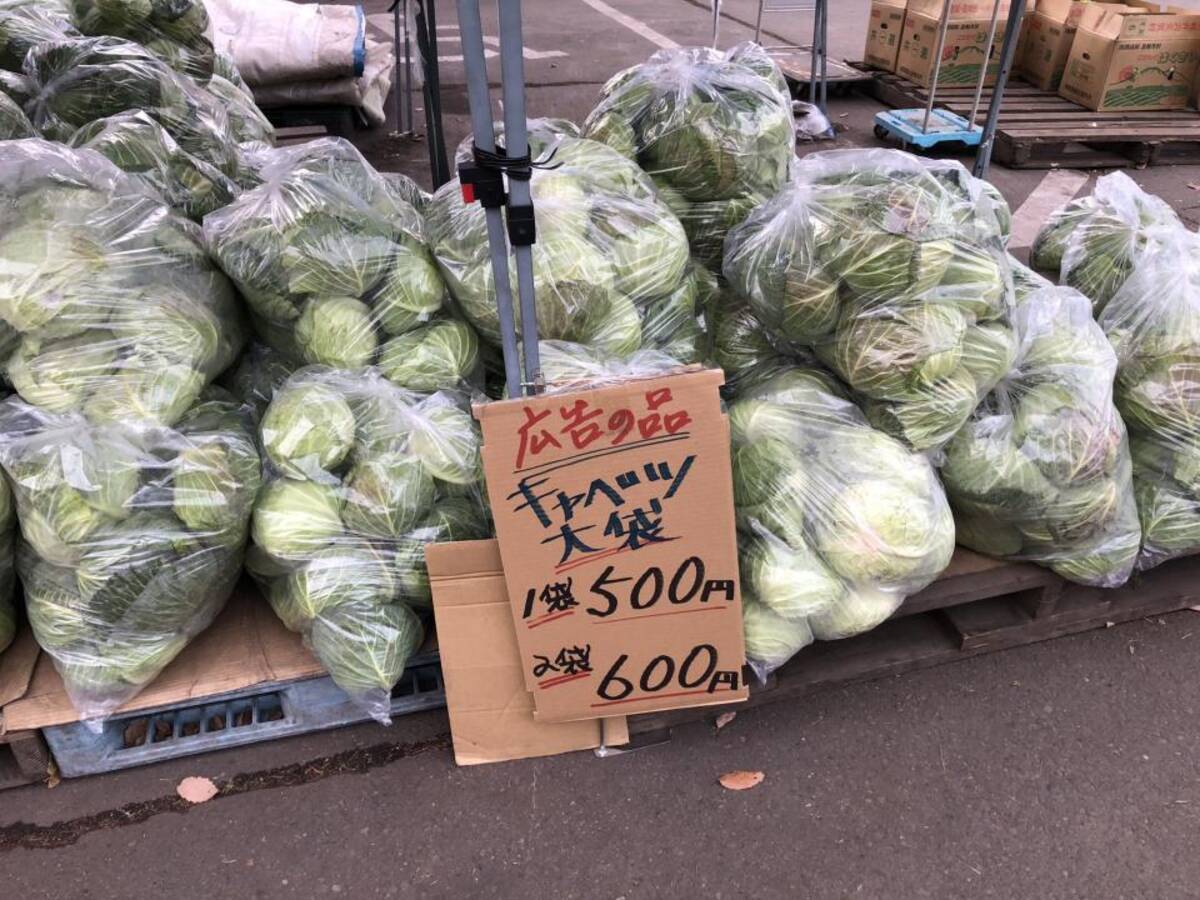 1玉でも3玉でもキャベツ100円 価格設定が雑すぎる直売所が話題 こんなに安くて大丈夫 運営会社に聞いた 2020年12月26日 エキサイトニュース
