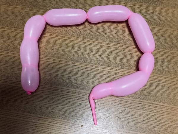 一瞬本物かと バルーンで再現した超絶リアルな 大腸 がこちら 21年1月30日 エキサイトニュース