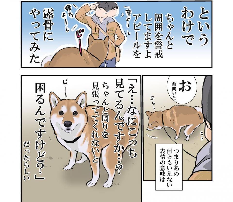 え なにこっち見てるんですか ウンチ中の犬が飼い主をじーっと見つめる理由 21年2月1日 エキサイトニュース