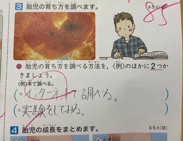 胎児の育ち方を調べるには 実験してみる 小学生がテストに書いた答えが話題 21年3月17日 エキサイトニュース