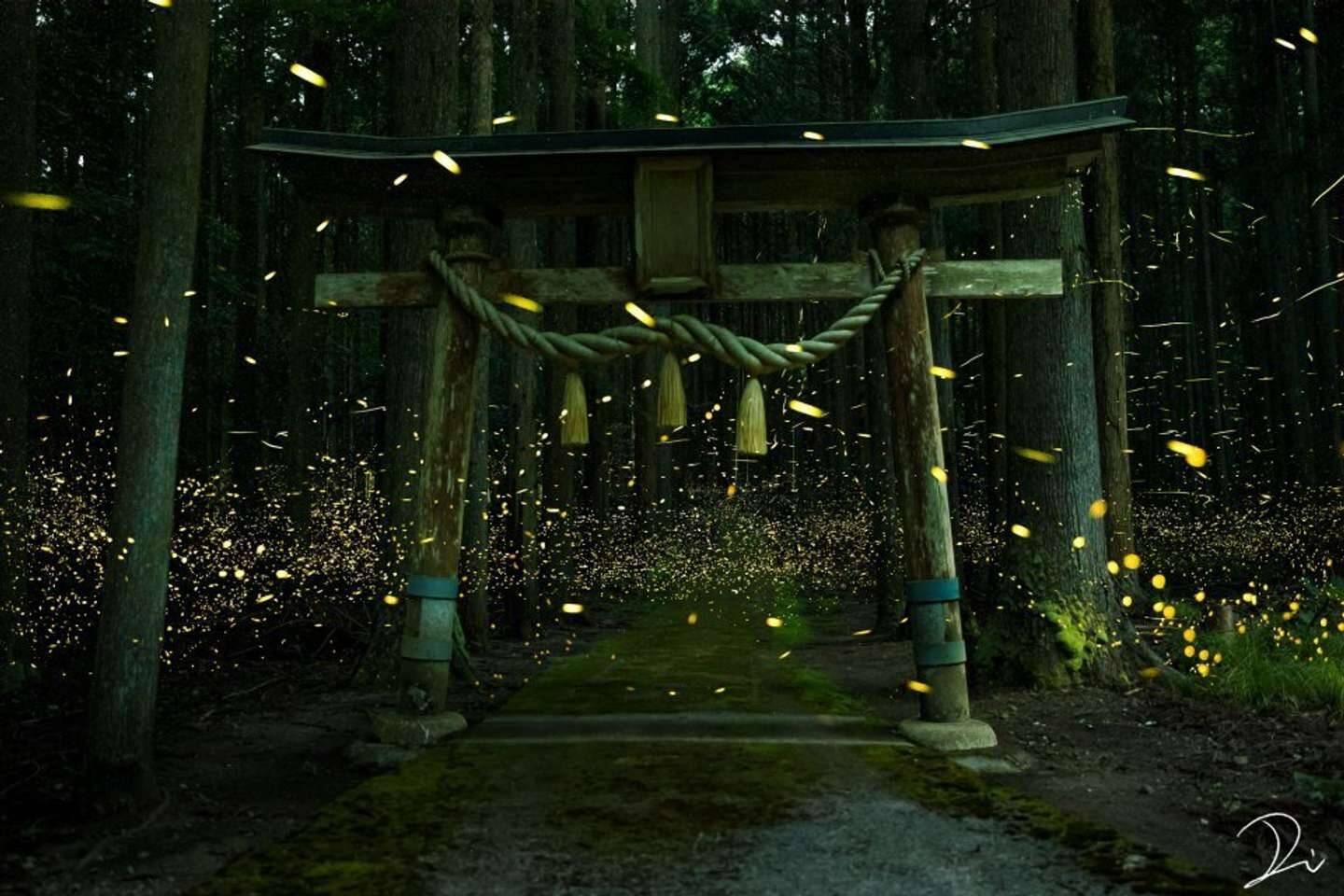 光の川 が流れてるみたい たくさんのホタルが舞い踊る夜の神社が圧倒的に美しい 21年5月14日 エキサイトニュース 光の川 が流れてるみたい たくさんのホタルが舞い踊る夜の神社が圧倒的に美しい 21年5月14日 エキサイトニュース