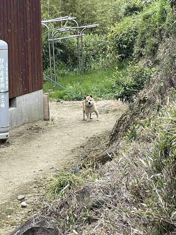 僕を忘れていませんか 一人で散歩に行こうとする飼い主を見つめるワンコの哀愁が凄い 21年5月27日 エキサイトニュース