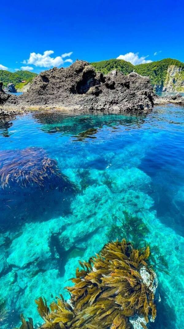 ダイビングと言えば 南国 いやいや 北海道もすごいんです 青く透きとおる シャコタンブルー が美しすぎる 21年8月2日 エキサイトニュース