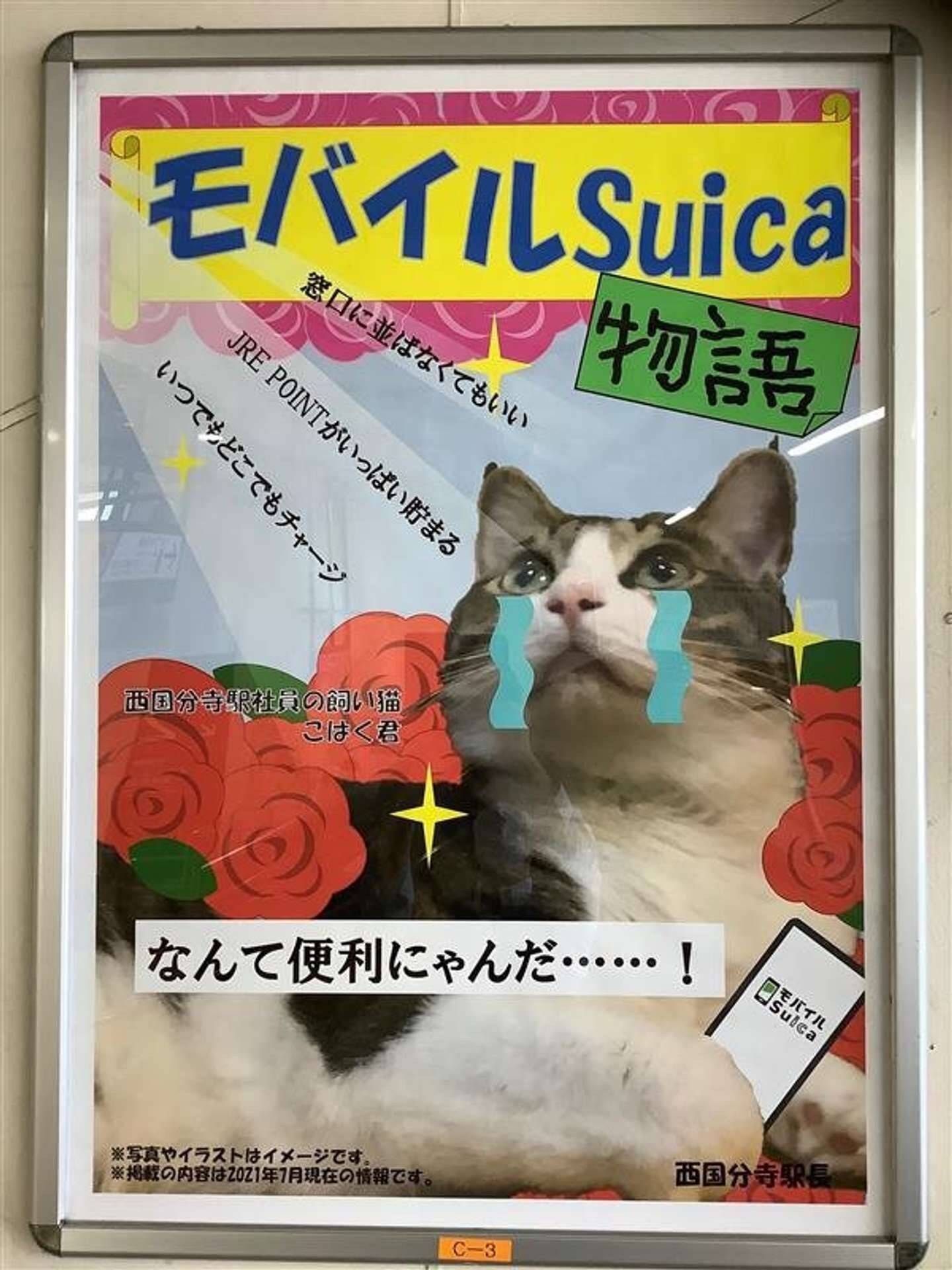 良すぎる 愛猫家社員の 激推し で生まれた 西国分寺駅ポスターにほっこり 21年8月11日 エキサイトニュース