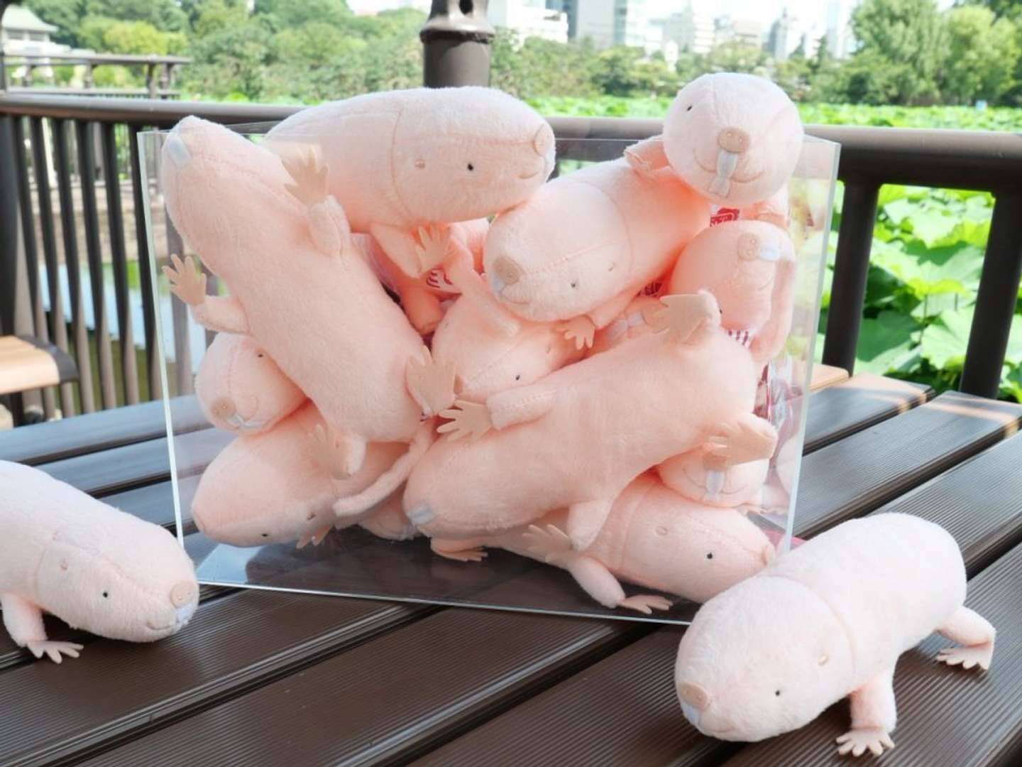 密 なハダカデバネズミたちを完全再現 上野動物園のぬいぐるみがシュールすぎる件 21年8月13日 エキサイトニュース