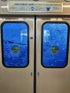 ドアの向こうは海の中？　小田急線の車窓からの絶景に反響「なにこれ凄い」「ファンタジーの世界だ」