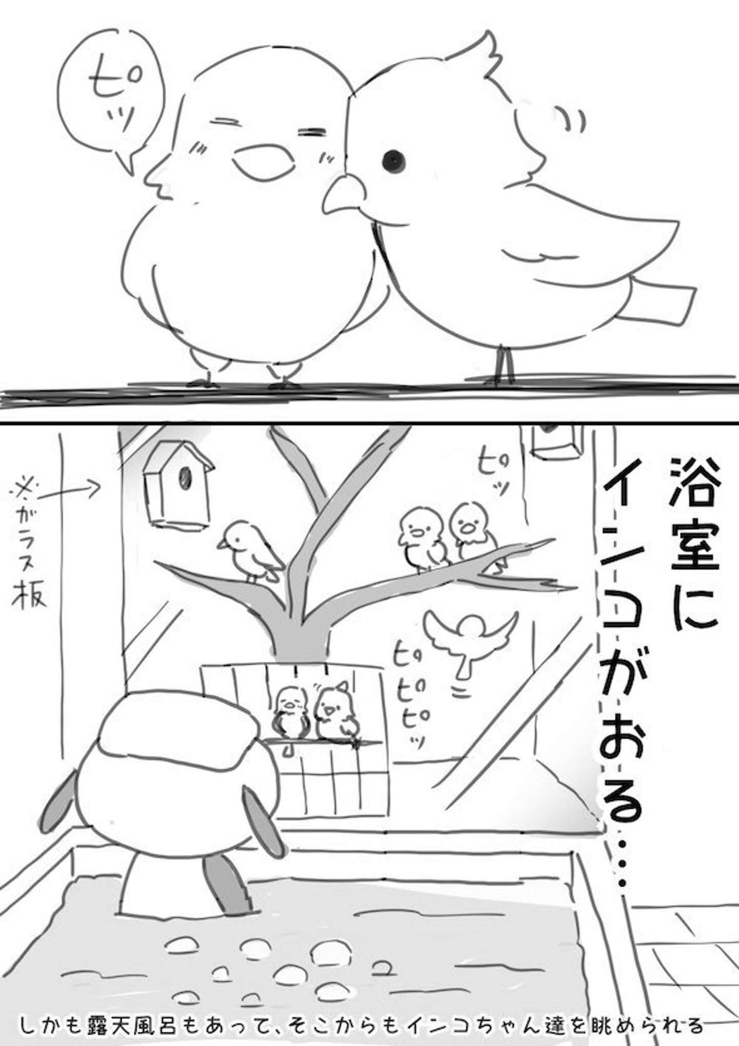 浴室にインコがおる 京都で発見された 天才すぎる銭湯 に反響 飼育の理由を主人に聞いた 21年10月12日 エキサイトニュース