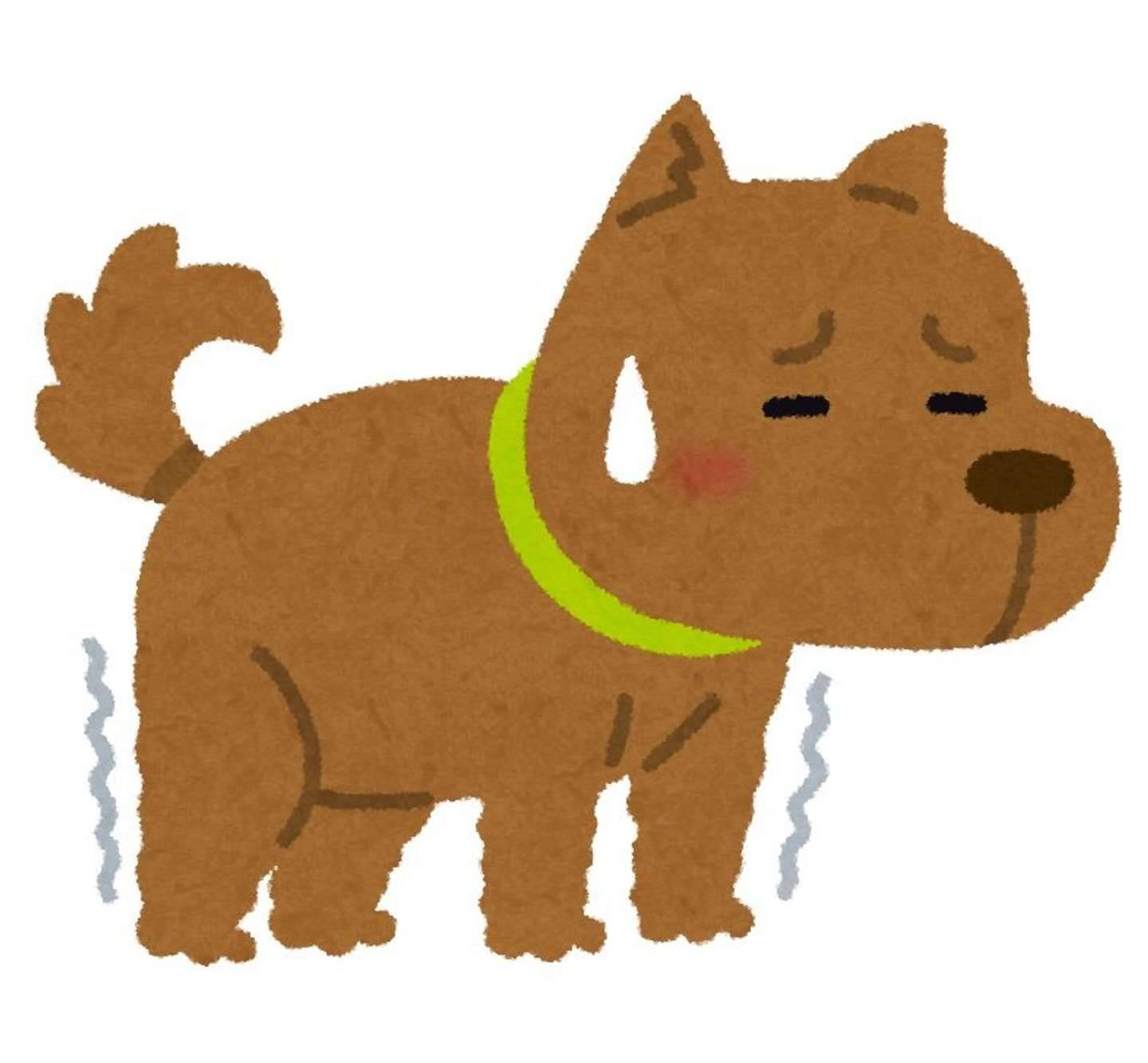 犬のリードの黄色リボンには 意味 がある イエロードッグプロジェクトジャパン 代表に想いを聞いた 21年11月18日 エキサイトニュース 2 3
