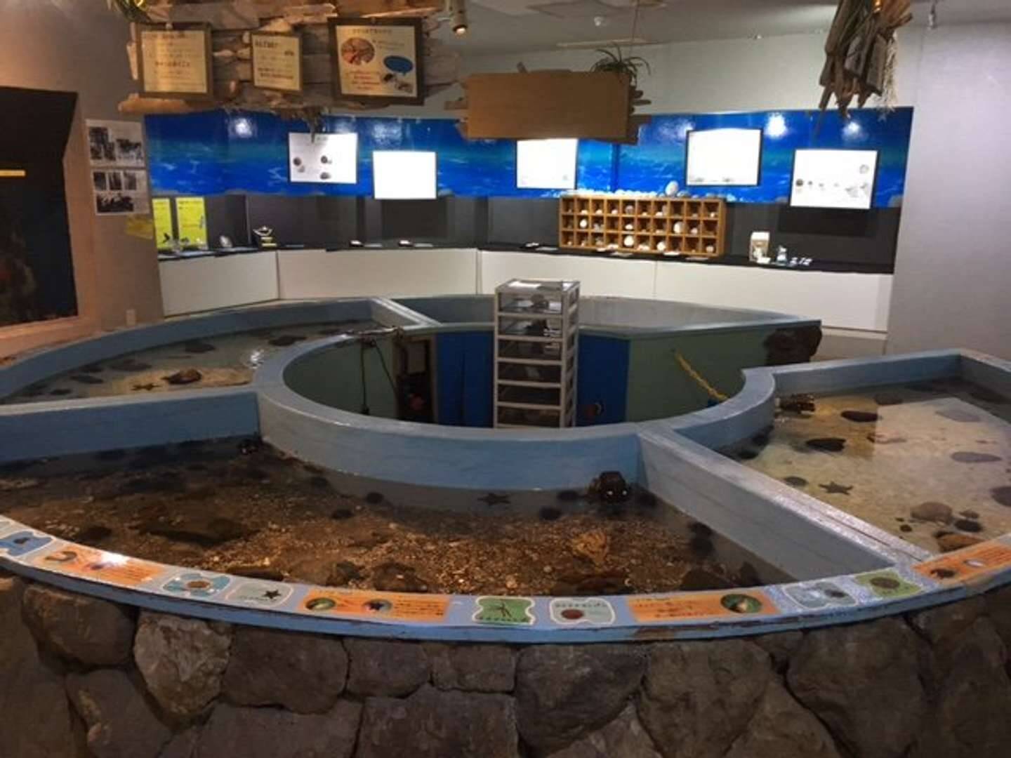 ウニを愛しすぎて ウニのカシパン祭り を開催した飼育員は語る 時代がやっとウニに追いついた 21年12月6日 エキサイトニュース 3 4