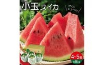 夏の楽しみ、先行予約　ふるさとチョイスで人気の【スイカ】ランキング