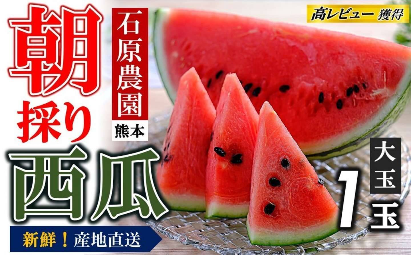 夏の楽しみ、先行予約　ふるさとチョイスで人気の【スイカ】ランキング