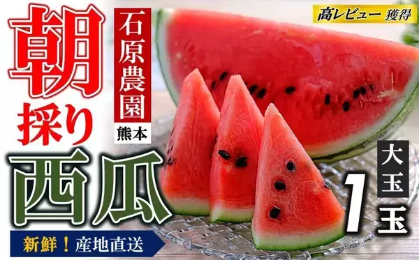 「夏の楽しみ、先行予約　ふるさとチョイスで人気の【スイカ】ランキング」の画像