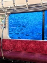 「すげーなにこれ」「マジでビビった」　新江ノ島水族館が演出する〝海中電車〟に1.6万人興奮