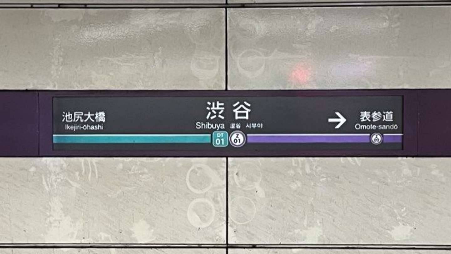 「渋谷で見知らぬ若い女性にしてもらった道案内。『すぐ乗って』と言われ乗った電車の窓から見えたのは...」