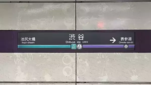 「「渋谷で見知らぬ若い女性にしてもらった道案内。『すぐ乗って』と言われ乗った電車の窓から見えたのは...」」の画像