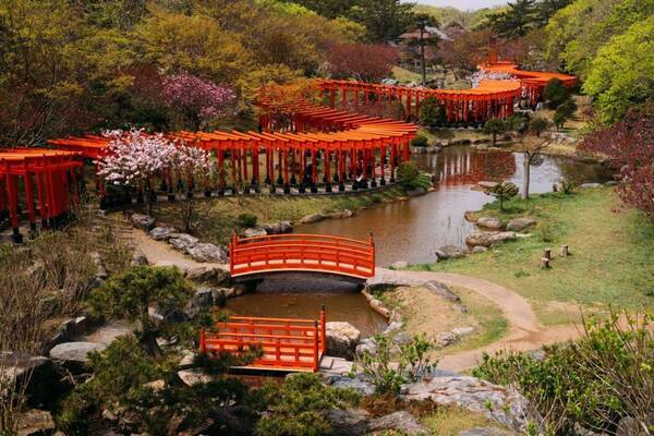 明るい朱色のすき間からのぞく 淡いピンクの牡丹桜 青森にある 千本鳥居 が風流すぎる 22年5月30日 エキサイトニュース