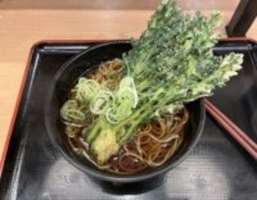 「春菊の暴力」「生えてる」　あまりにデカすぎ...インパクト絶大の〝春菊天そば〟に1.3万人驚がく