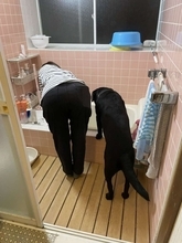 「犬は飼い主に似る説」証明する1枚、激写される　浴室での〝後ろ姿〟に4.6万人もん絶「種族超えた家族」