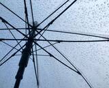 「「友達と遊んだ後、一人で歩いて家に帰る女子中学生の私。途中で見知らぬおじさんに傘を差しだされて」（東京都・50代女性）」の画像2