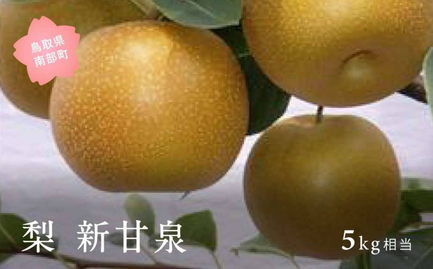 「見事に裏切ってくれました」「美味しすぎて毎年買ってます」　ふるさとチョイスで人気の【梨】トップ5