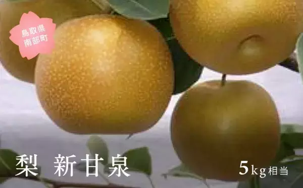 「「見事に裏切ってくれました」「美味しすぎて毎年買ってます」　ふるさとチョイスで人気の【梨】トップ5」の画像