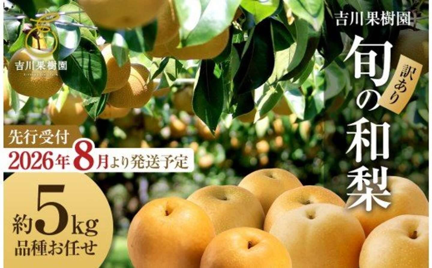 「見事に裏切ってくれました」「美味しすぎて毎年買ってます」　ふるさとチョイスで人気の【梨】トップ5