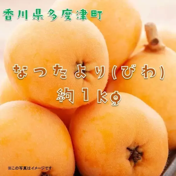 「これでもかと思うぐらい大きい」「口いっぱいに頬張れて、幸せ」　ふるさとチョイスで人気の【枇杷】トップ5