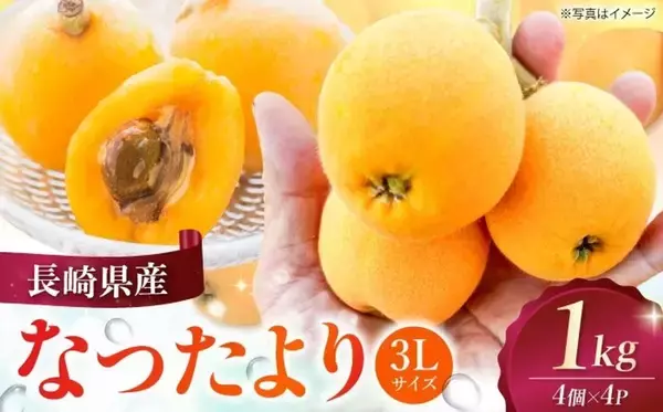 「「これでもかと思うぐらい大きい」「口いっぱいに頬張れて、幸せ」　ふるさとチョイスで人気の【枇杷】トップ5」の画像